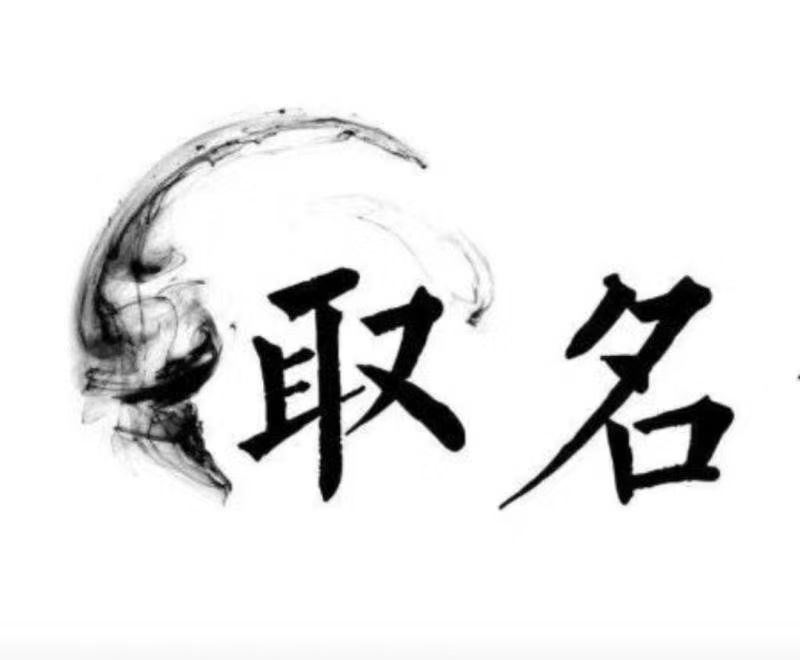  定日宝宝取名 大师一对一人工起名